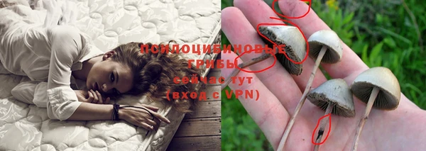 скорость Балахна