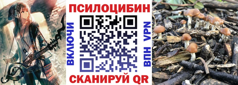 Галлюциногенные грибы мухоморы Абакан